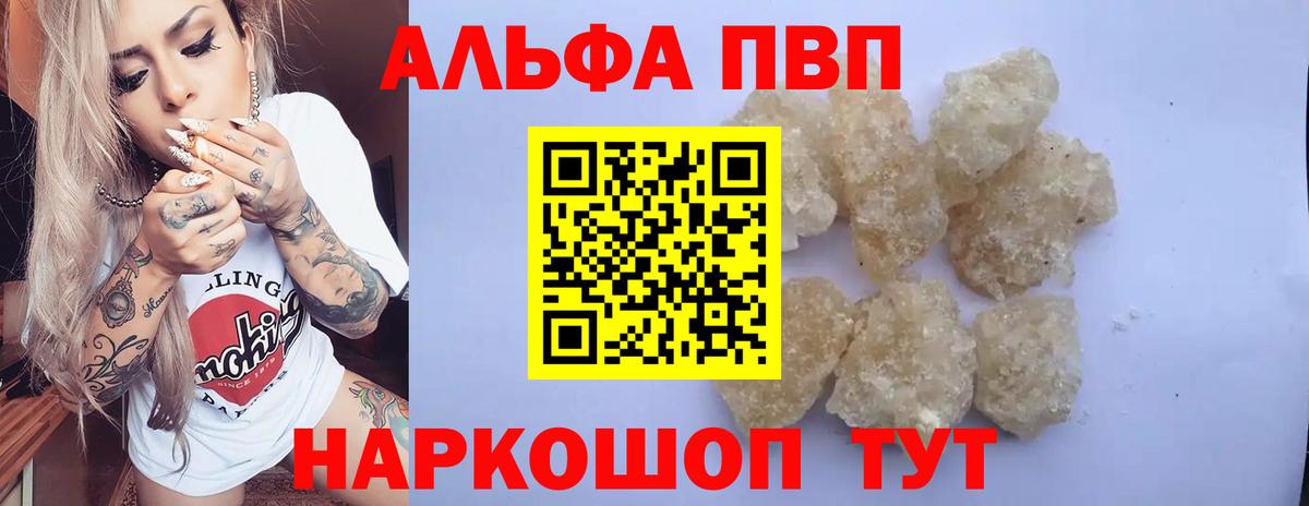 Альфа ПВП СК КРИС Новочеркасск
